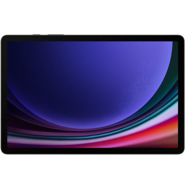 Планшет Samsung Galaxy Tab S9 12/256GB Wi-Fi Graphite (SM-X710NZAE)