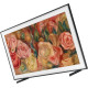 Samsung QE43LS03D