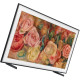 Samsung QE43LS03D