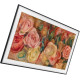 Samsung QE43LS03D