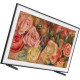 Samsung QE50LS03D