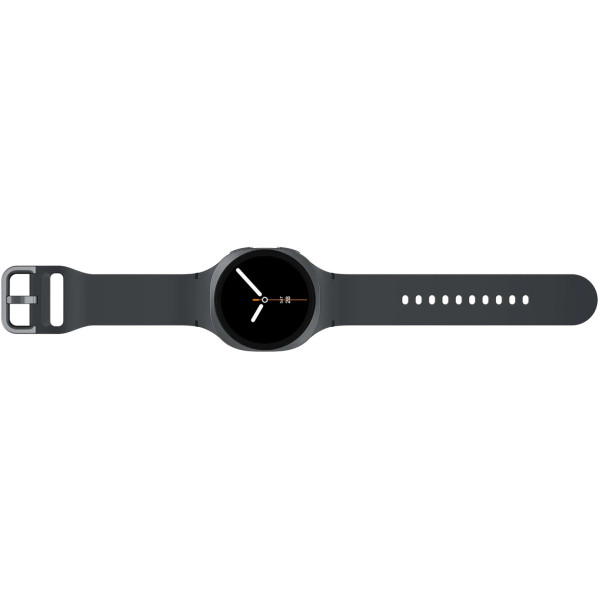 Смарт-часы Samsung Galaxy Watch 8 40mm Graphite (SM-L320NDAA)